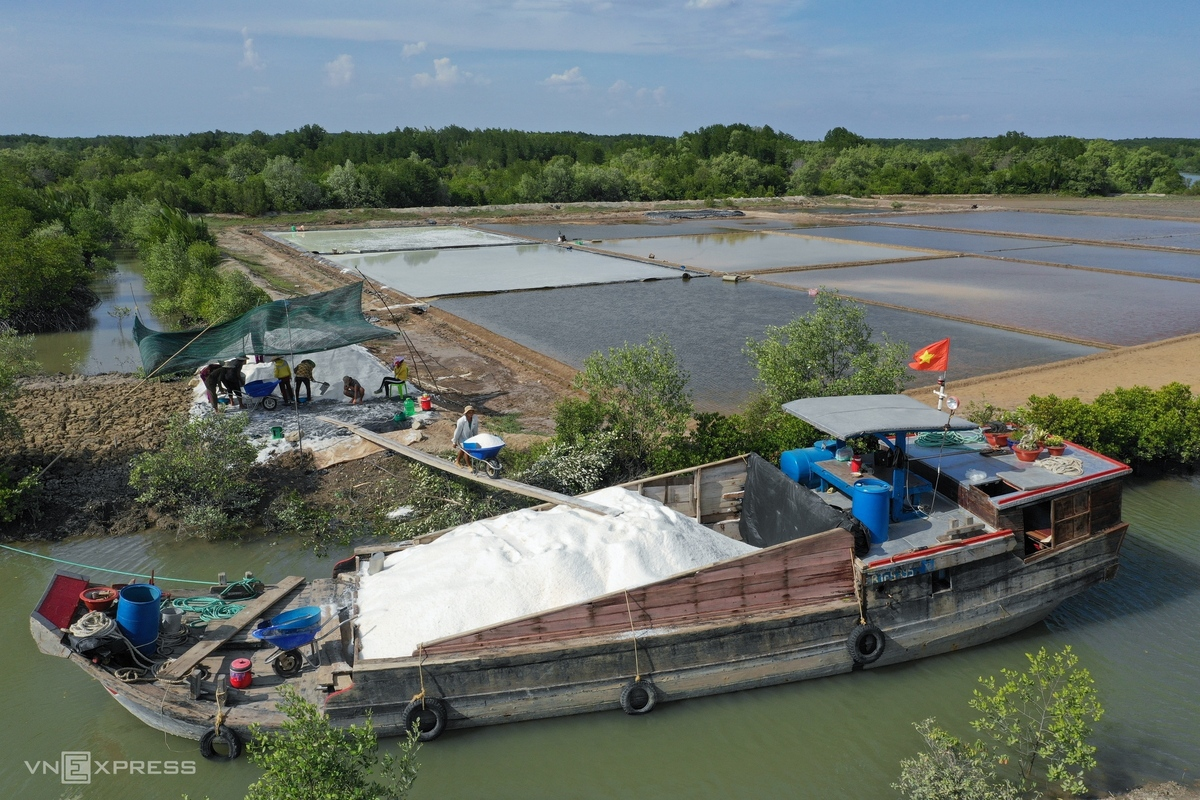 HCMC’s island commune overwhelmed in bustling ambiance in salt-harvesting season