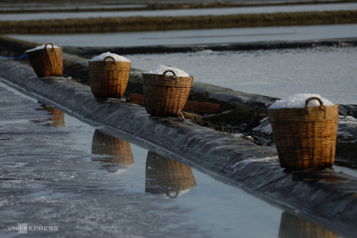 HCMC’s island commune overwhelmed in bustling ambiance in salt-harvesting season