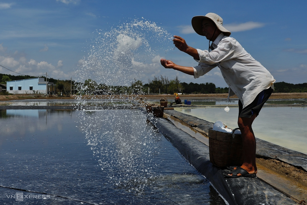 HCMC’s island commune overwhelmed in bustling ambiance in salt-harvesting season