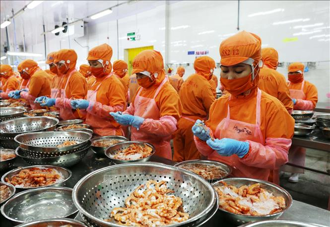 Vietnam’s Pangasius exports increase by 0.6% in first quarter of 2021