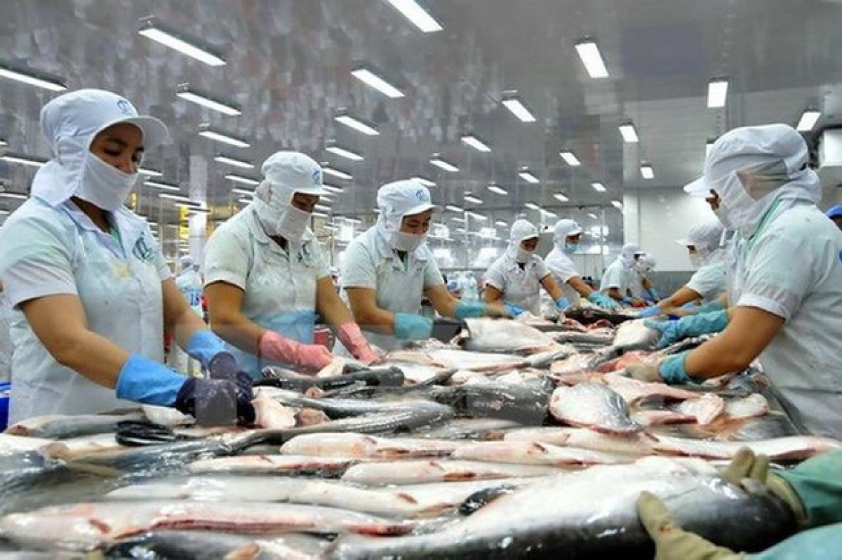 Vietnam’s Pangasius exports increase by 0.6% in first quarter of 2021