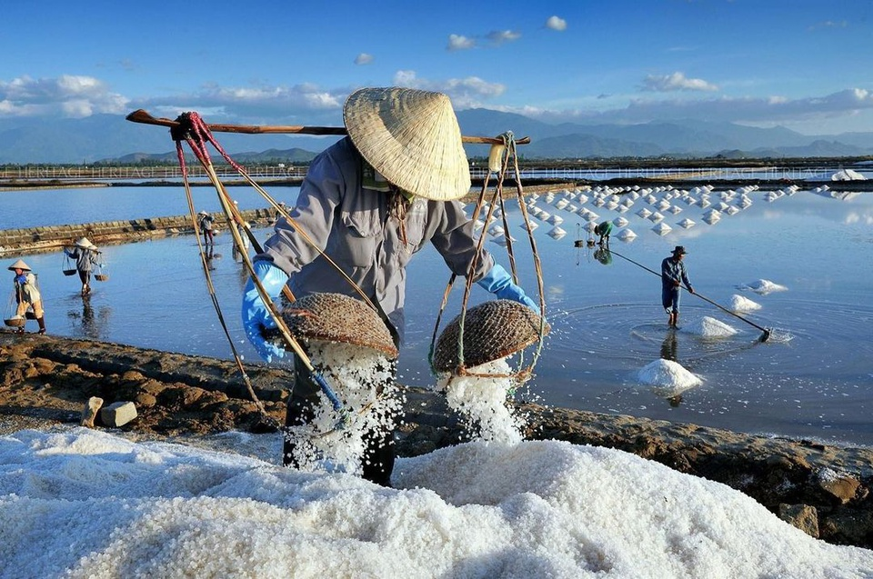 Top 4 magnificent salt fields in Vietnam's Central region