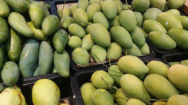 Vietnam emerges as world’s 13th largest mango producer