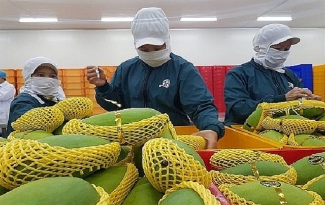 Vietnam emerges as world’s 13th largest mango producer