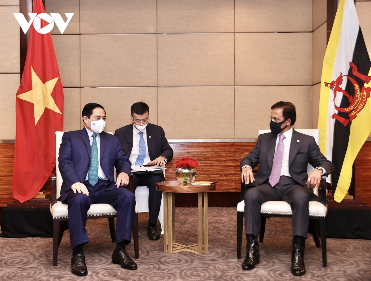 Vietnam, Brunei To Enhance All-round Cooperation | Vietnam Times