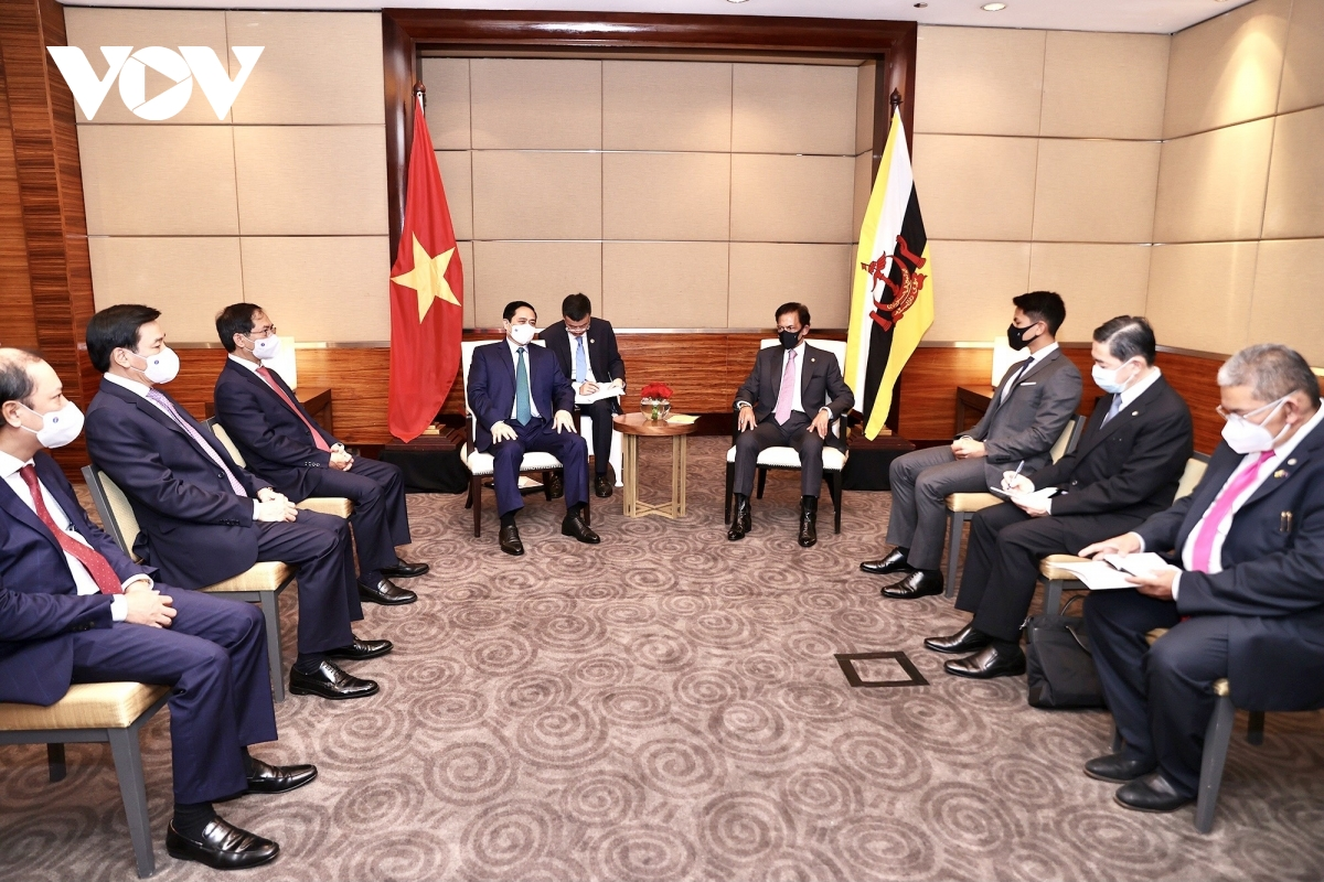 Vietnam, Brunei to enhance all-round cooperation