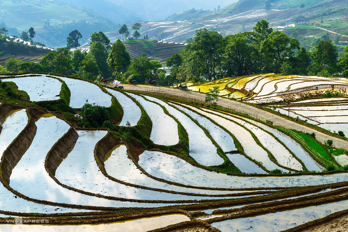 Bat Xat terraced fields mesmerizing in watery season