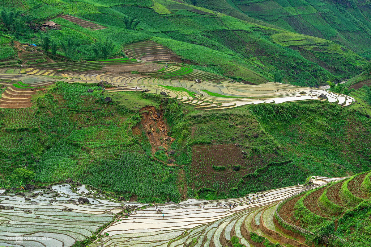 Bat Xat terraced fields mesmerizing in watery season