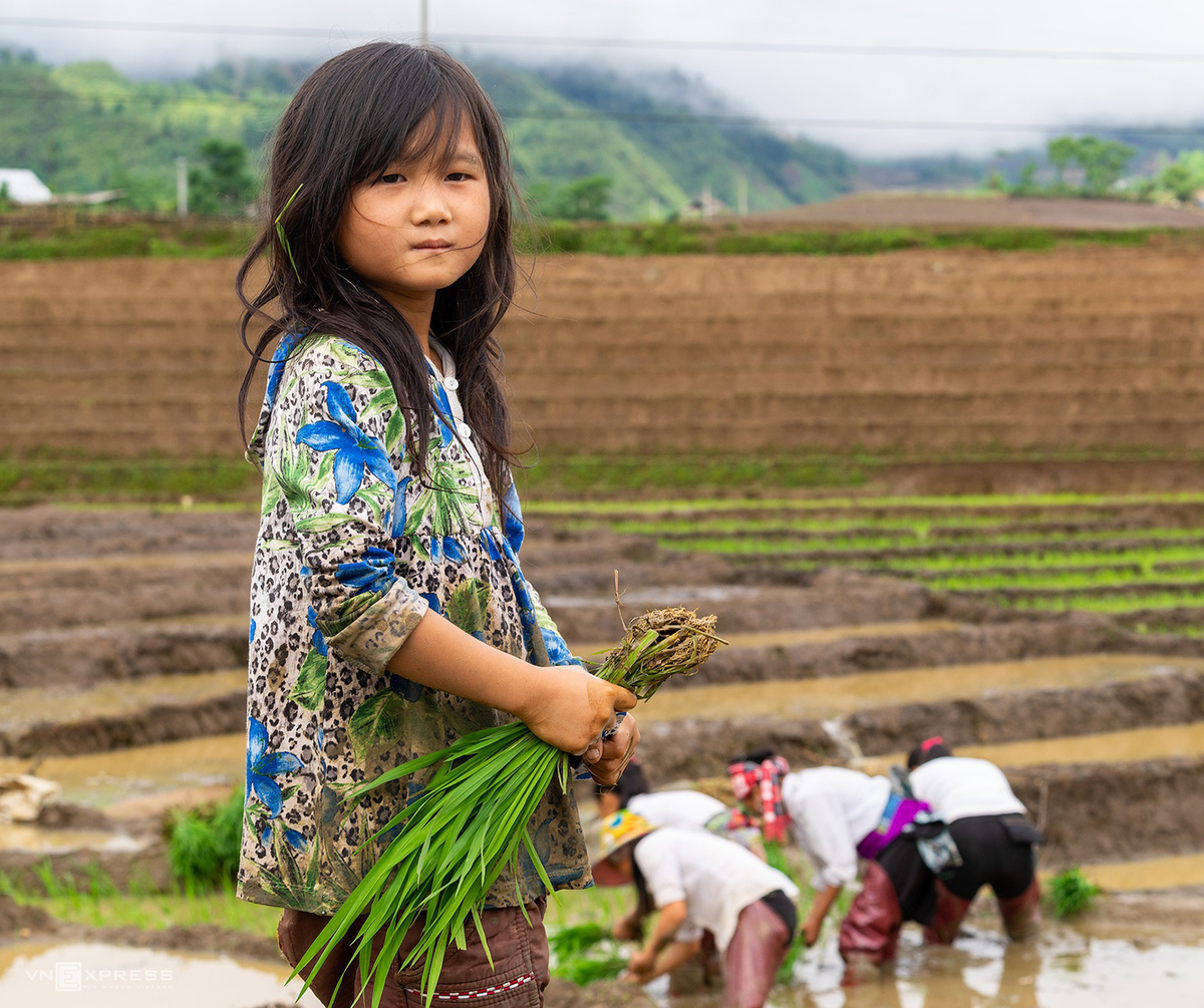 Bat Xat terraced fields mesmerizing in watery season