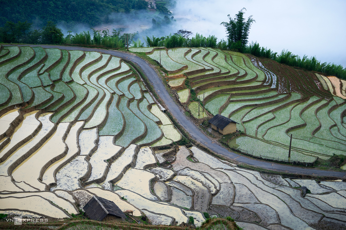 Bat Xat terraced fields mesmerizing in watery season