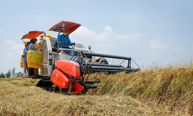 Vietnam's rice exporters urged to utilize FTAs to boost shipments