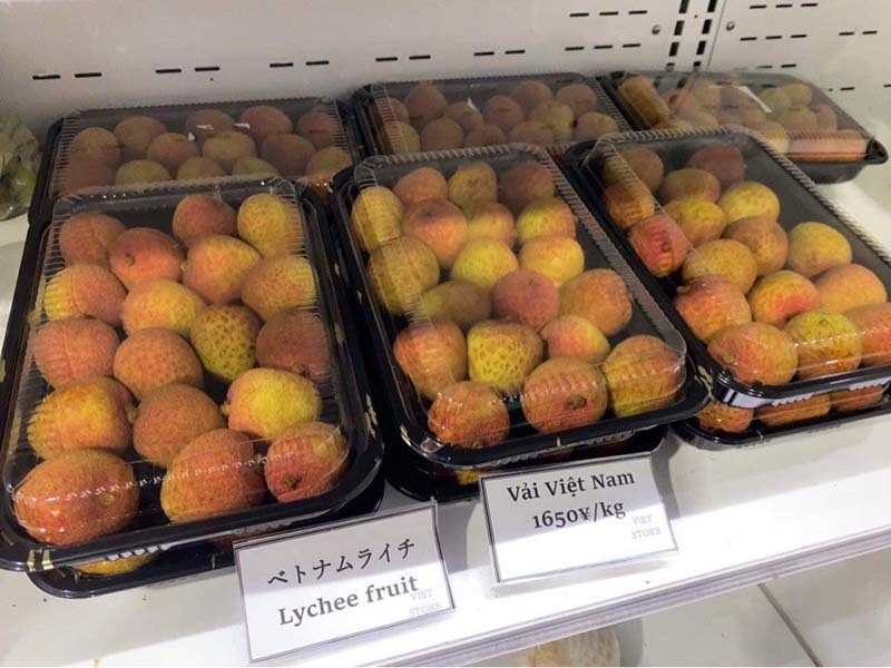 Vietnamese lychees hit shelves at supermarkets in Japan