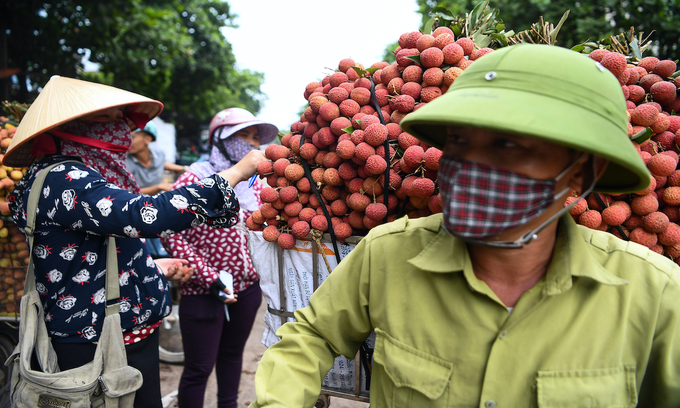 Vietnamese lychees hit shelves at supermarkets in Japan