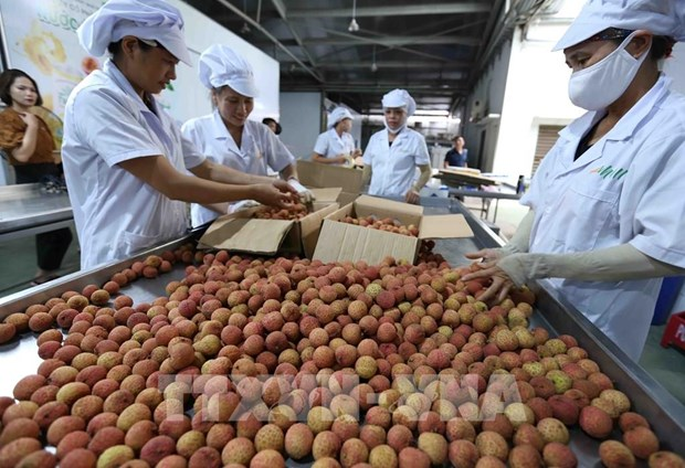 Vietnam’s export turnover grows over 30% in five months