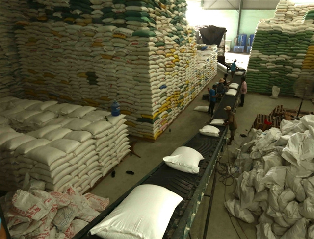 Bright prospects for Vietnam’s rice exports in coming months