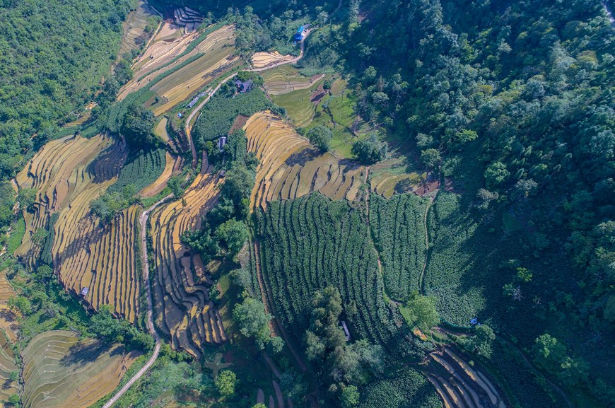 stunned by majestic natural landscape in bac ha mountainous district