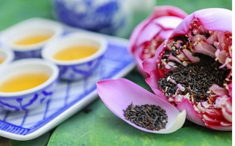 lotus flower blooming in hanoi amid sweltering summer