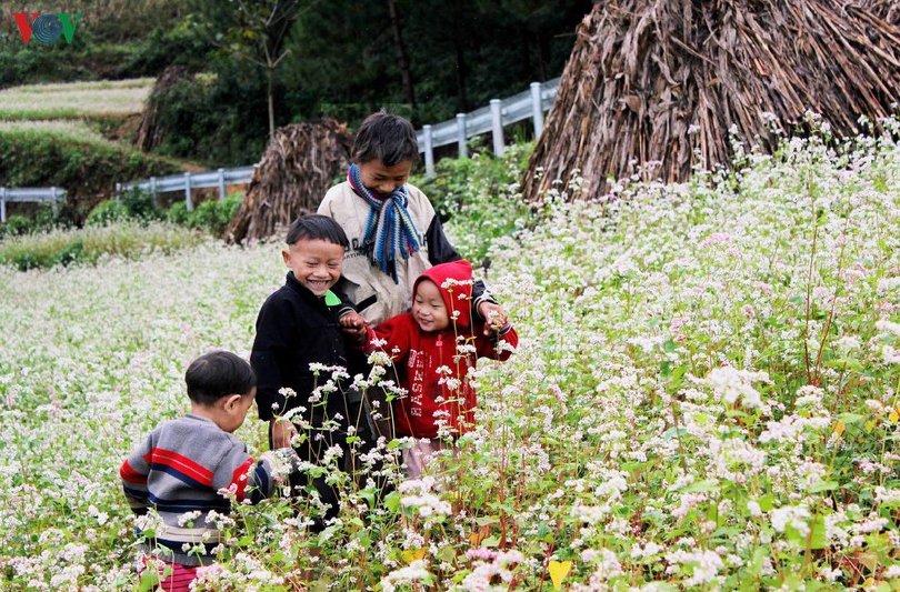 the hospitality of ethnic people on ha giang rocky plateau