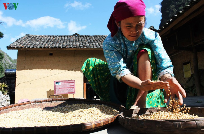 hospitality of ethnic people on ha giang rocky plateau