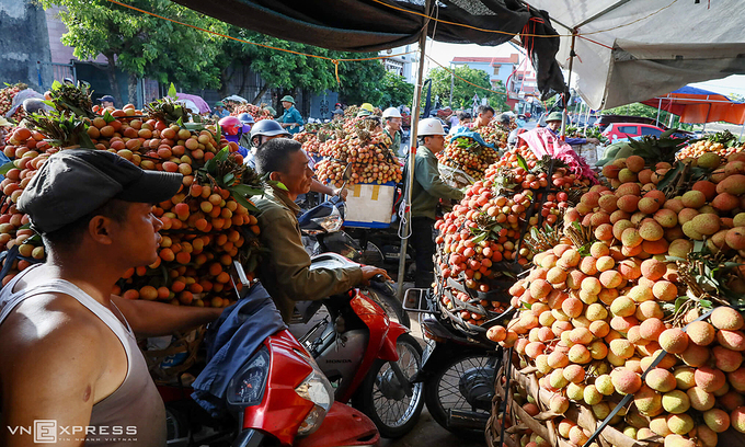 Vietnamese lychees hit Singapore shelves
