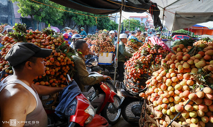 vietnamese lychees hit singapore shelves