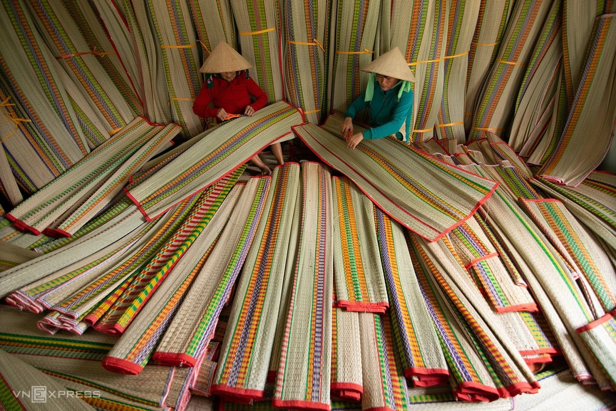 Sedge grass harvest in a 100-year-old mat-weaving village