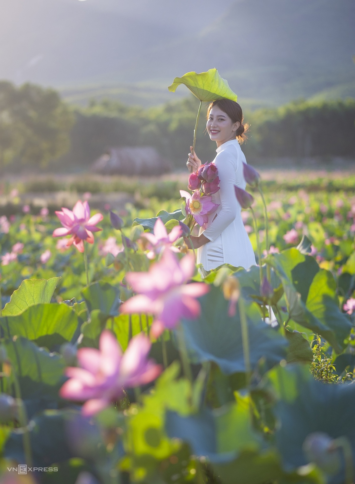 Blooming lotus flowers add allure to Vietnam’s central provinces