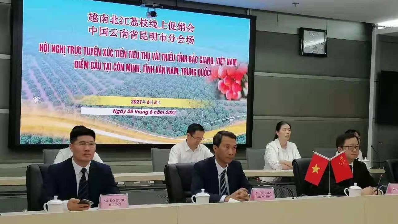 China pledges to create favorable conditions for Bac Giang lychees consumption