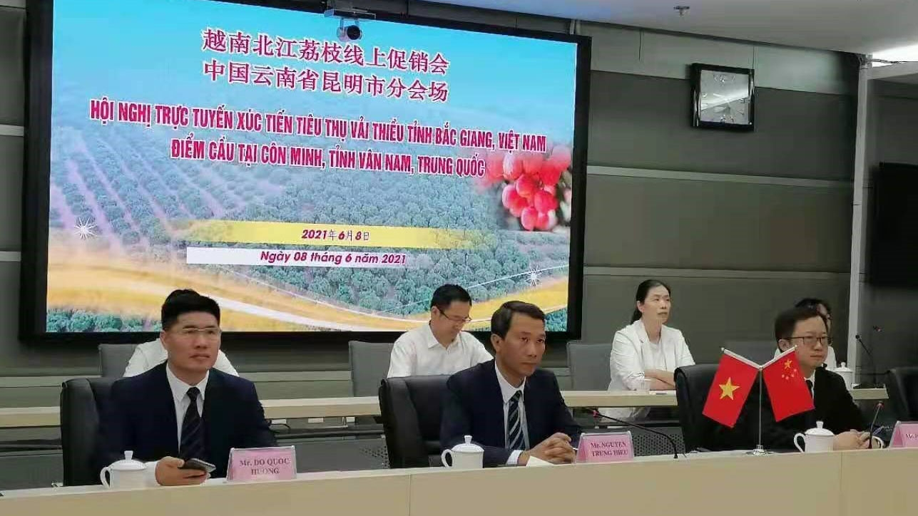 china pledges to create favorable conditions for bac giang lychees consumption