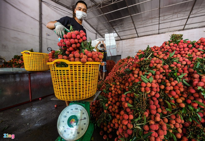 China pledges to create favorable conditions for Bac Giang lychees consumption