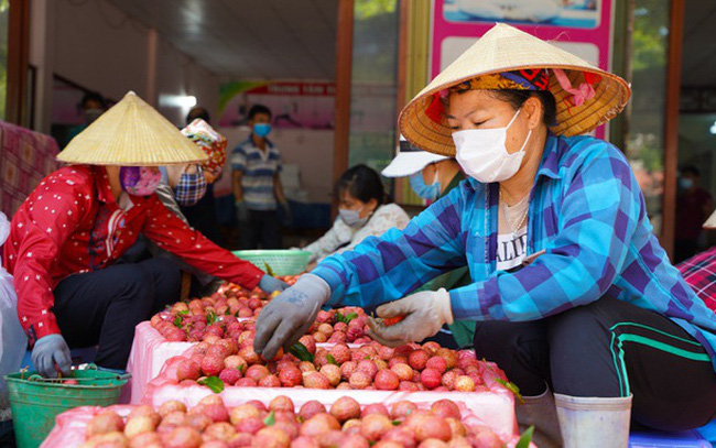 First Vietnamese lychee batch with traceability stamp sold in France