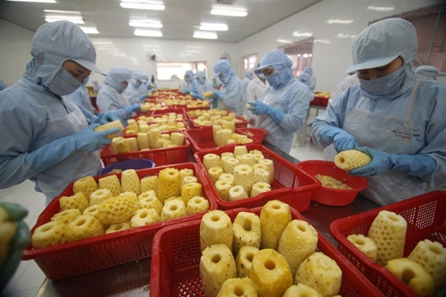 Vietnam’s agricultural product exports witness robust growth