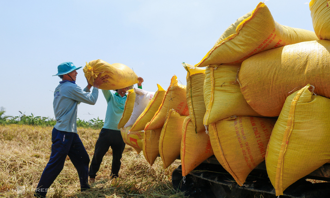 Vietnam’s agricultural product exports witness robust growth