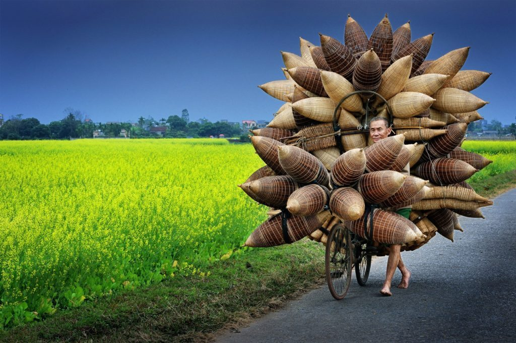 Water lily harvest shot by Vietnamese photographer wins international prize