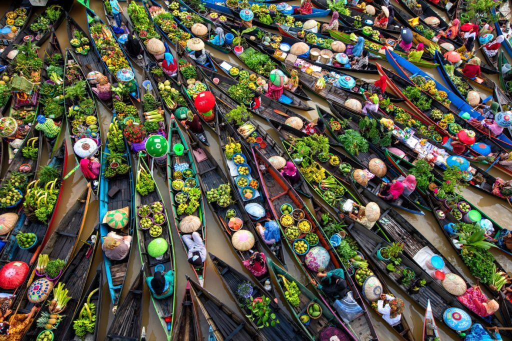 Water lily harvest shot by Vietnamese photographer wins international prize