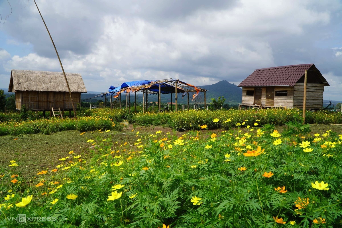 Gia Lai: where beautiful volcanoes abound