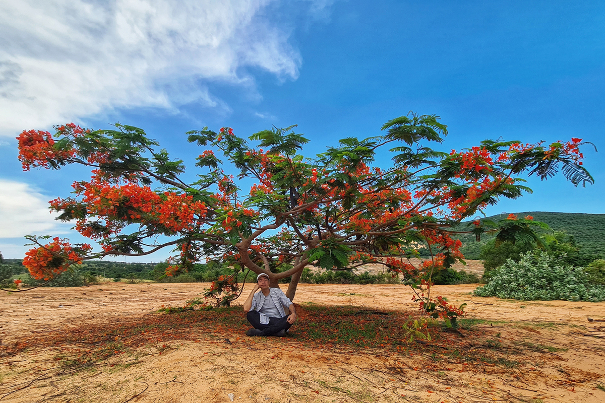 Southeast Vietnam's coastal city, premier “must-explore” destinations