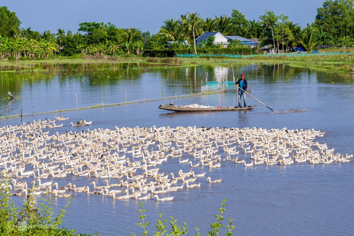 A glimpse into Hau Giang's peaceful countryside