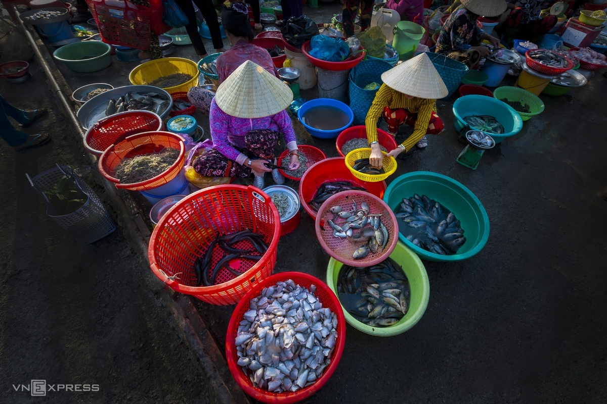 A glimpse into Hau Giang's peaceful countryside