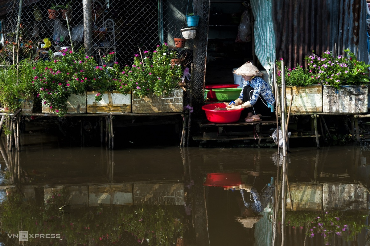 A glimpse into Hau Giang's peaceful countryside