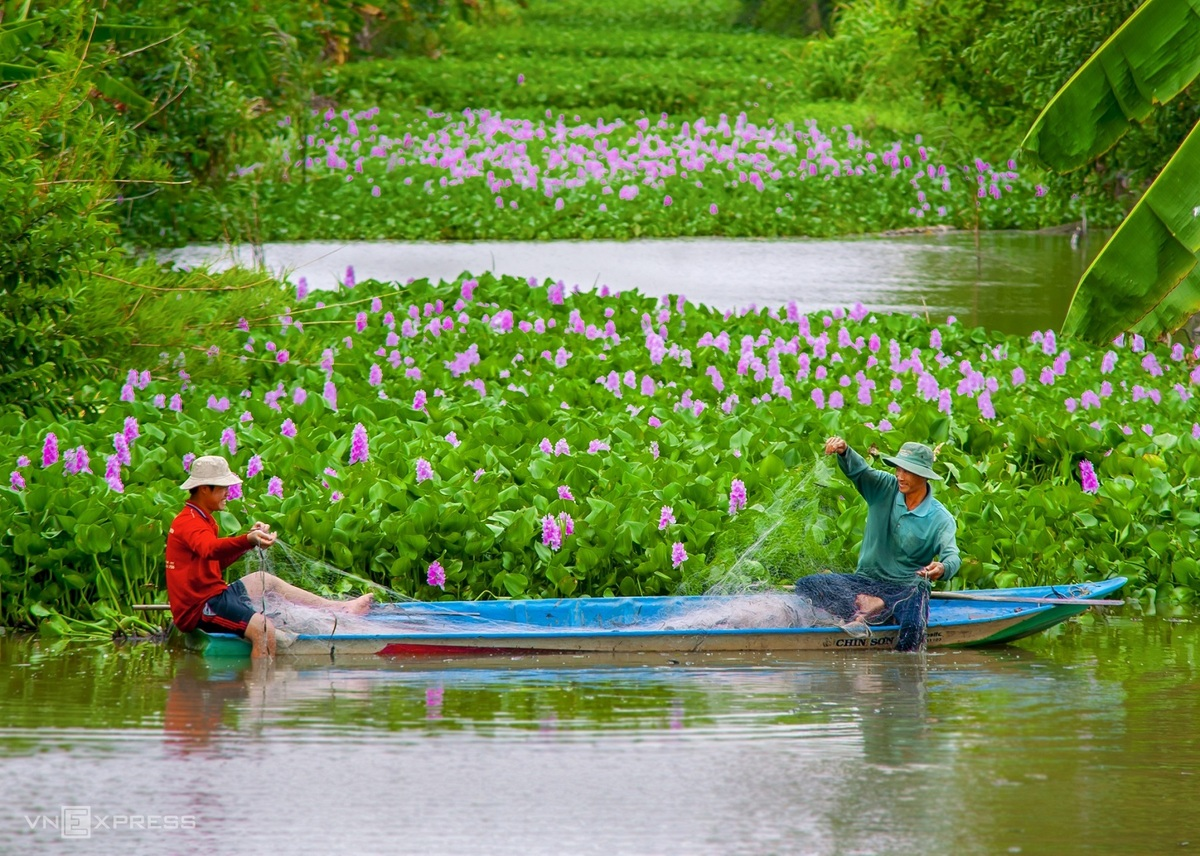 A glimpse into Hau Giang's peaceful countryside