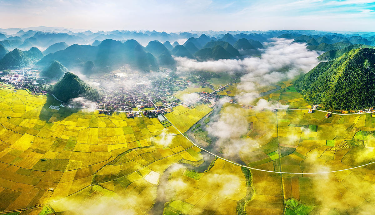 Bac Son Valley in ripening rice season, ideal place to seek tranquility