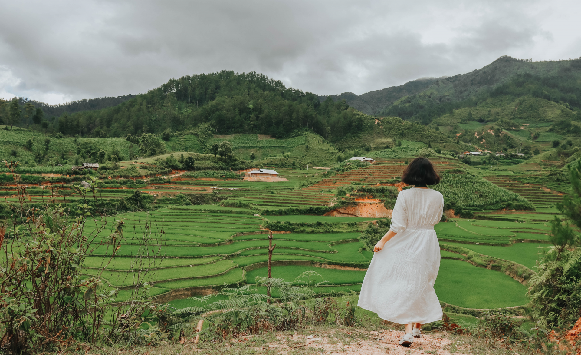 Sublime verdant terraced fields in northwestern Vietnam