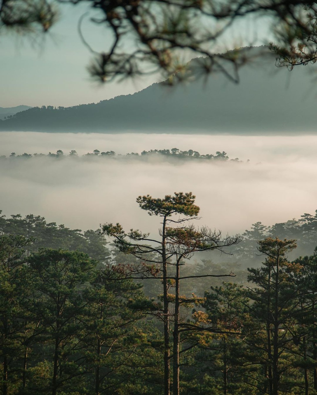 4 ideal destinations to hunt clouds in vietnams central highlands