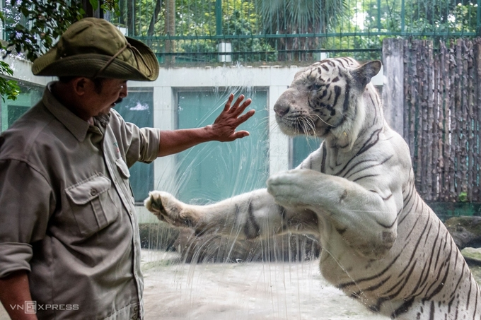 Vietnam’s oldest zoo incurs $US 861,000 in loss due to Covid-19, calling for donation