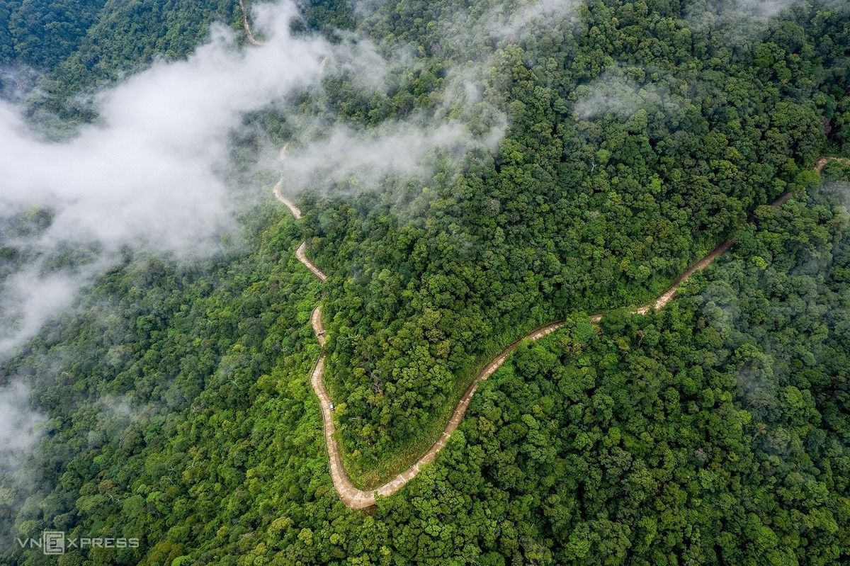 Surfing the clouds on Bach Ma Mountain Peak