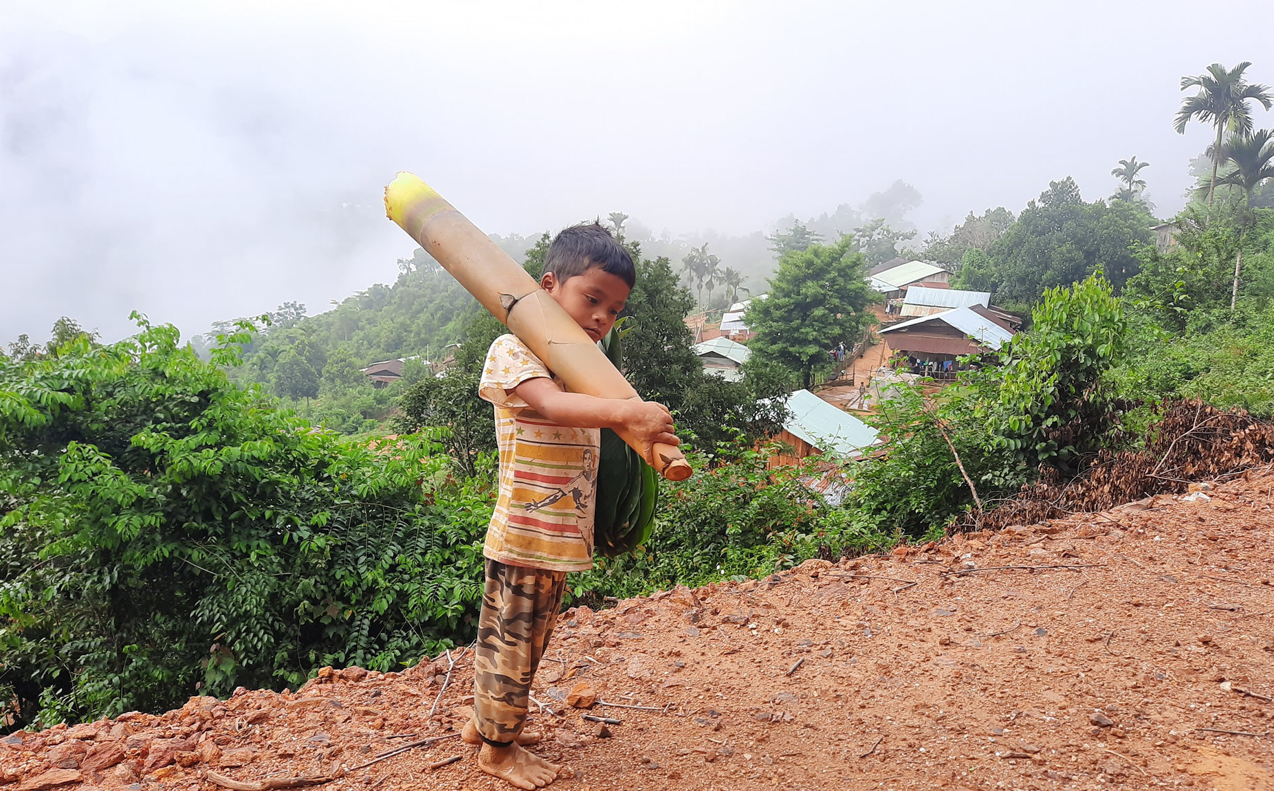 Vietnamese boy carrying forest bamboo shoot to support Da Nang, COVID 19 hotspot