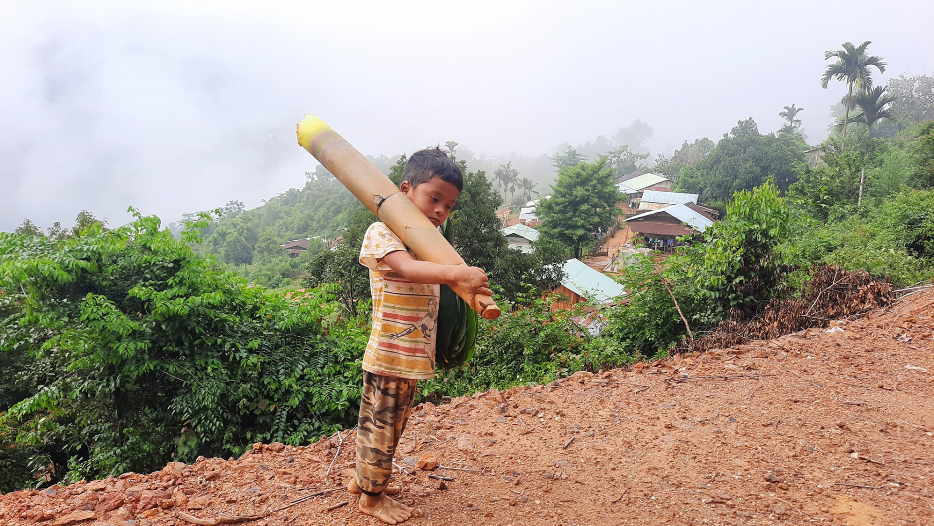Vietnamese boy carrying forest bamboo shoot to support Da Nang, COVID-19 hotspot