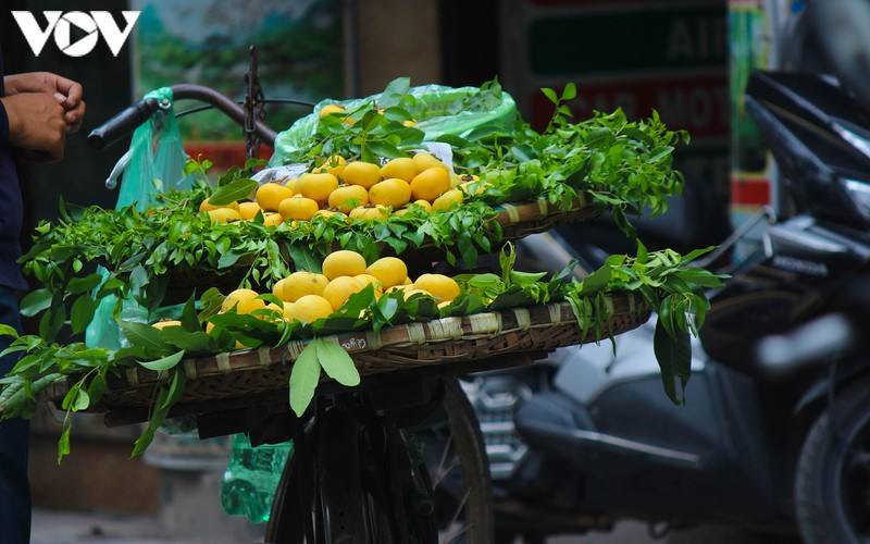 the unique specialties of hanoi in autumn