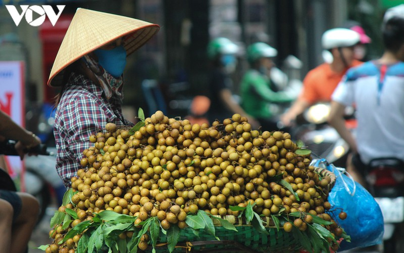 the unique specialties of hanoi in autumn